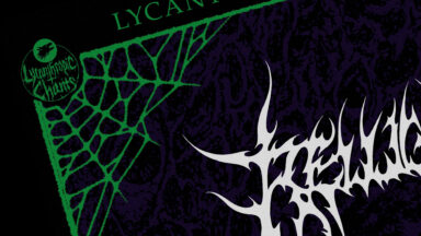 3x Death Metal